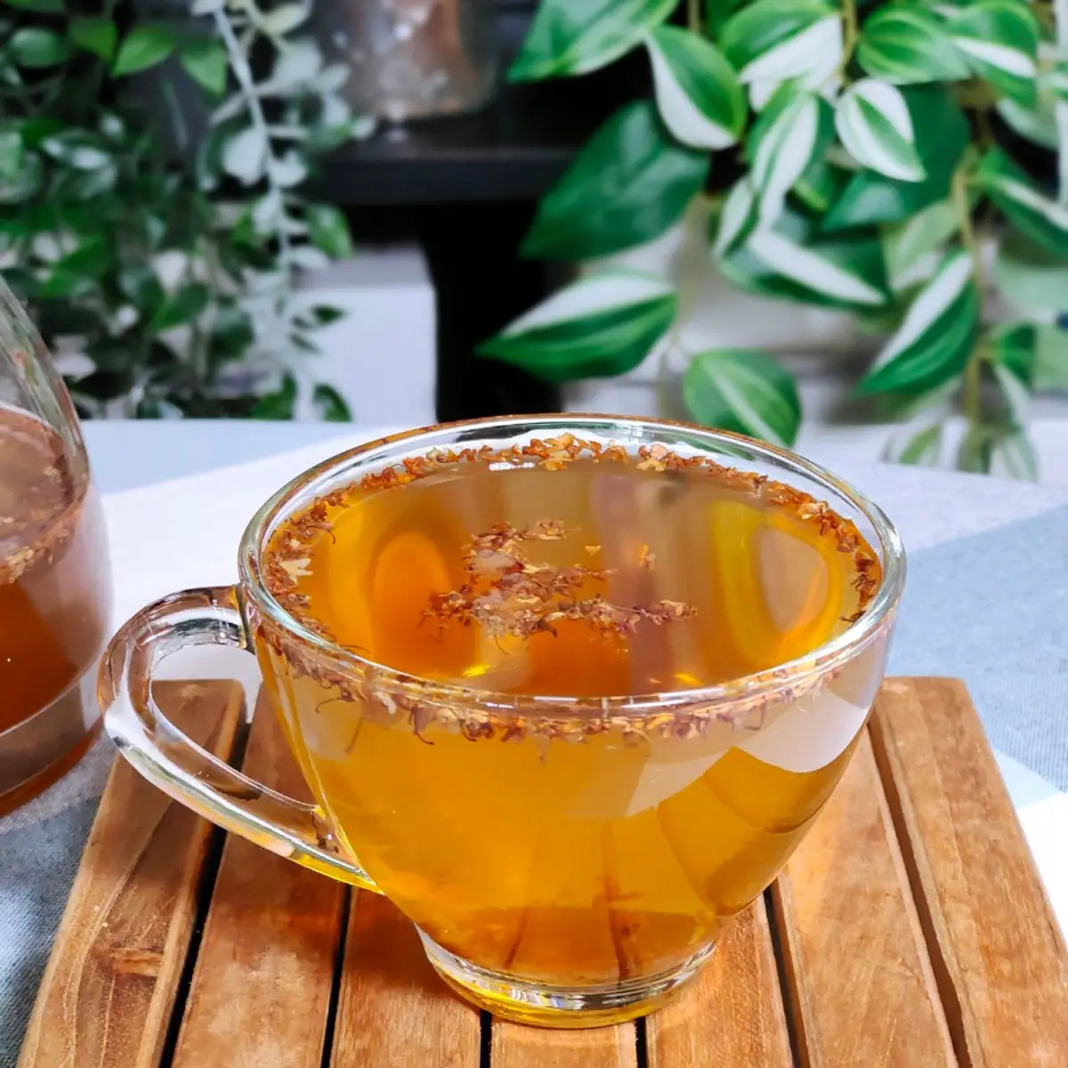 紅茶豆奶｜御可香-中埔後庄店