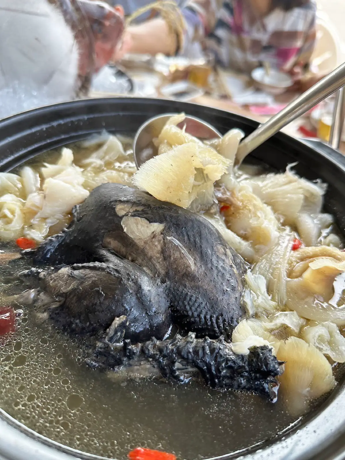 珍菌地雞魚翅風味鍋|洪廚囍宴