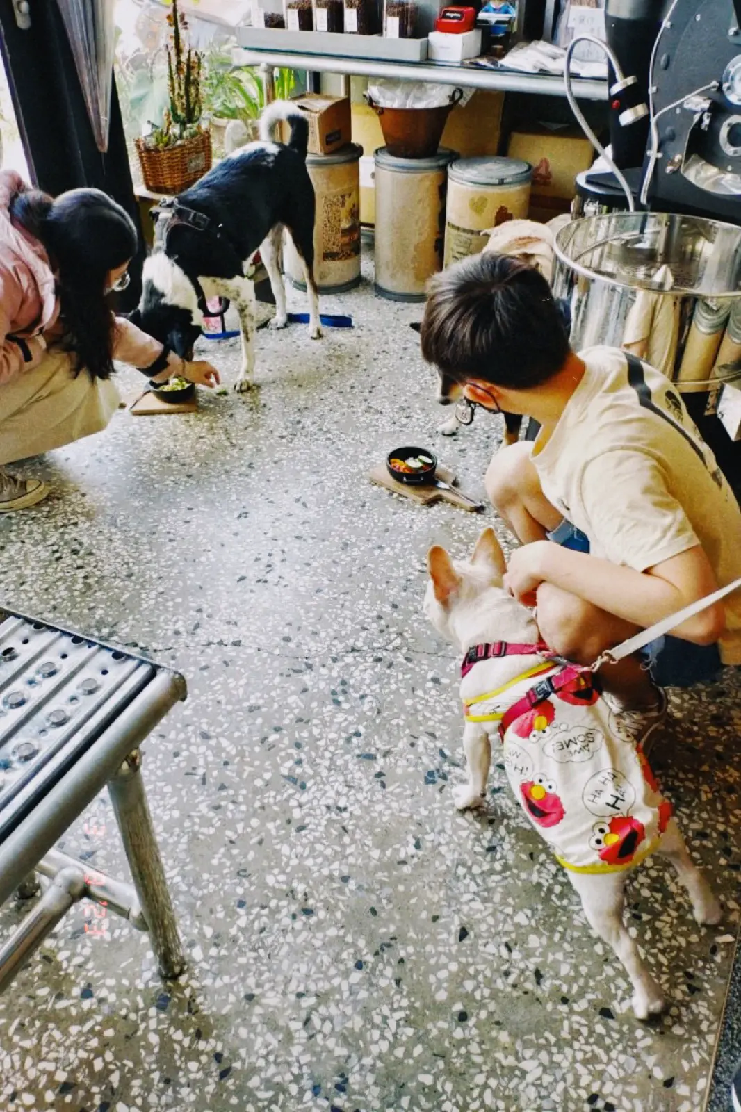 台南葵瑪咖啡CREMA CAFE 工業風老宅早午餐