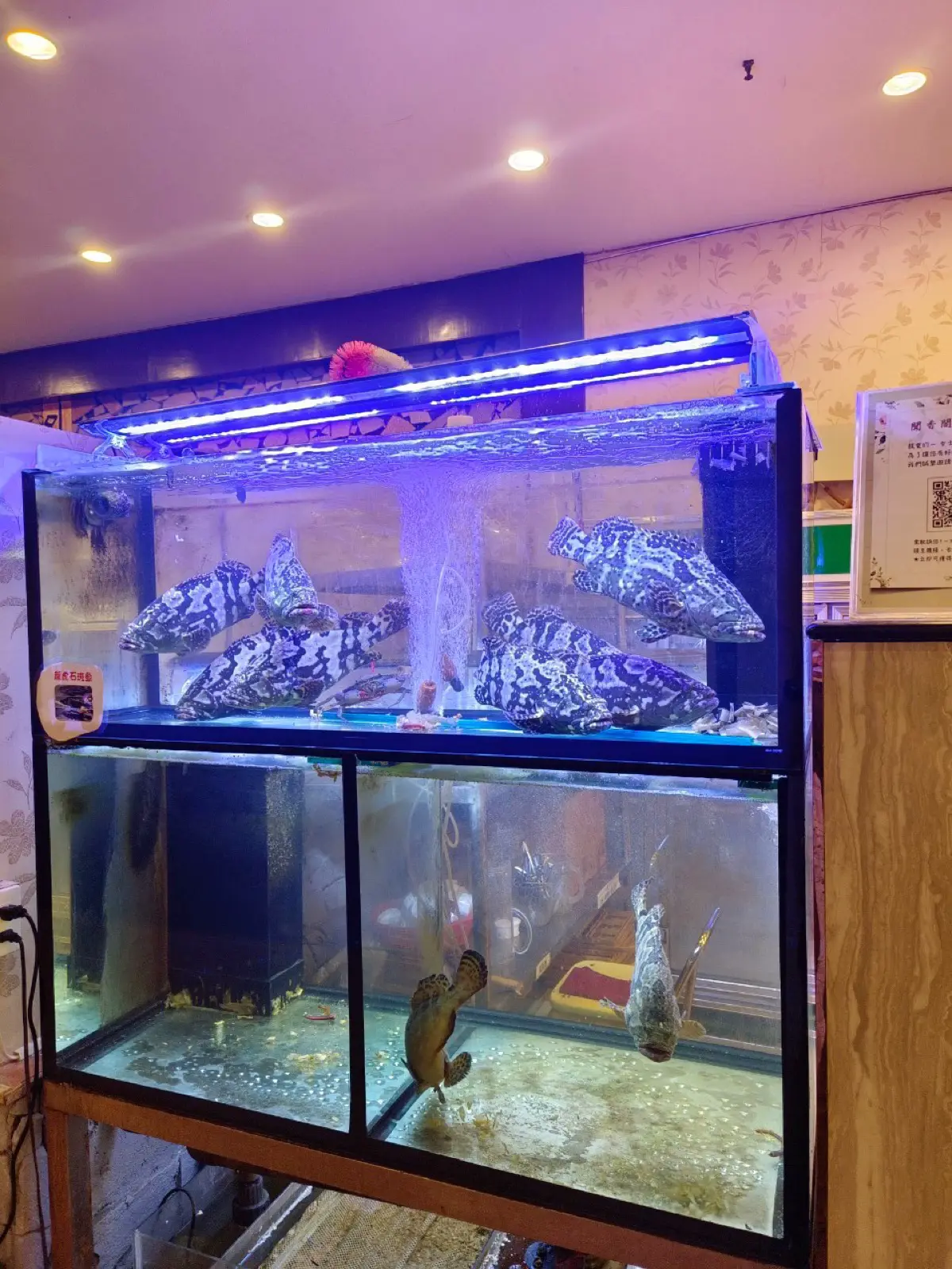 各式宴會包廳|聞香閣宴會餐廳