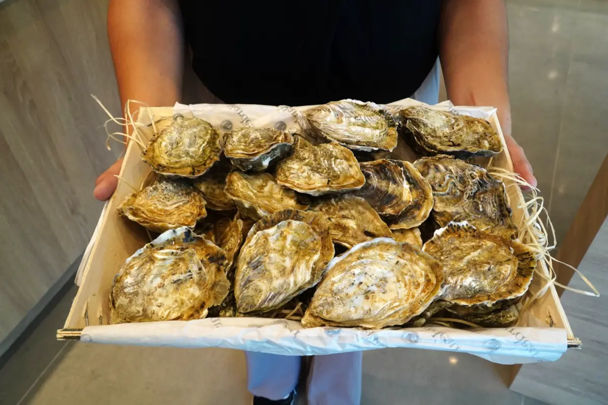 豪華海陸烤肉組 $2999｜豐隆士多