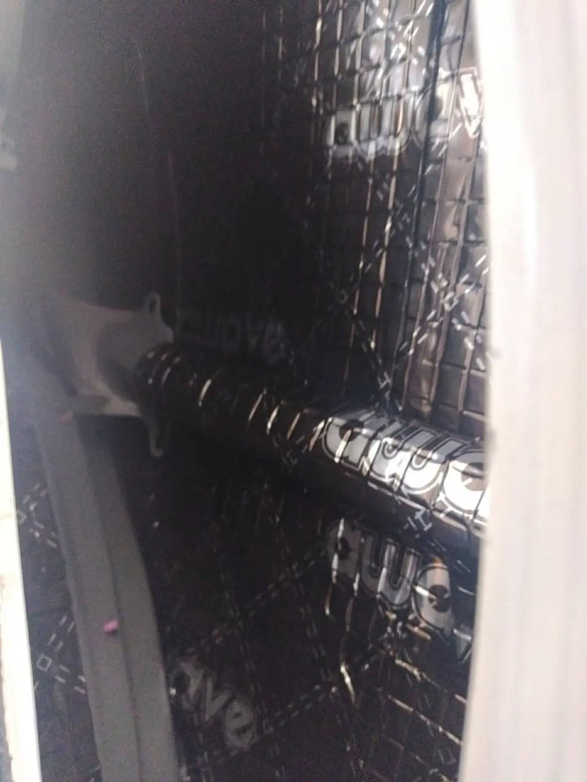 第一次|鑫旺專業汽車影音