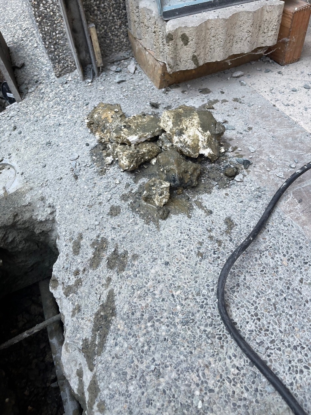 LINE_ALBUM_2白色的部分是屋主之前叫打針罐藥公司處理時_241118_1.jpg LINE_ALBUM_2白色的部分是屋主之前叫打針罐藥公司處理時_241118_1.jpg