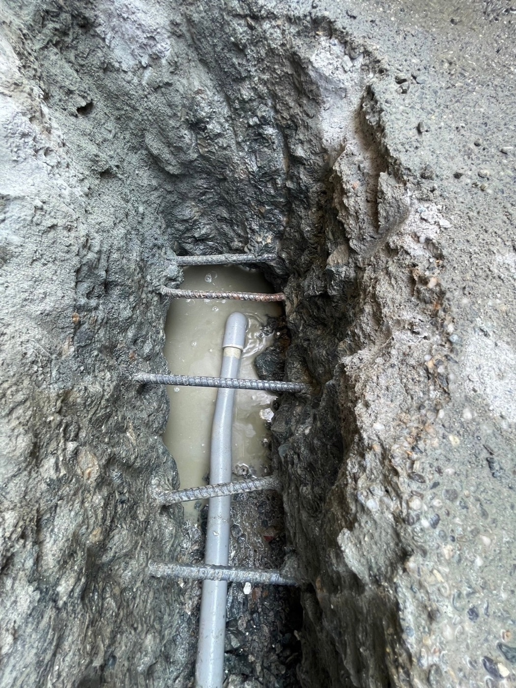 LINE_ALBUM_1屋外水表管路滲水_241118_3.jpg LINE_ALBUM_1屋外水表管路滲水_241118_3.jpg