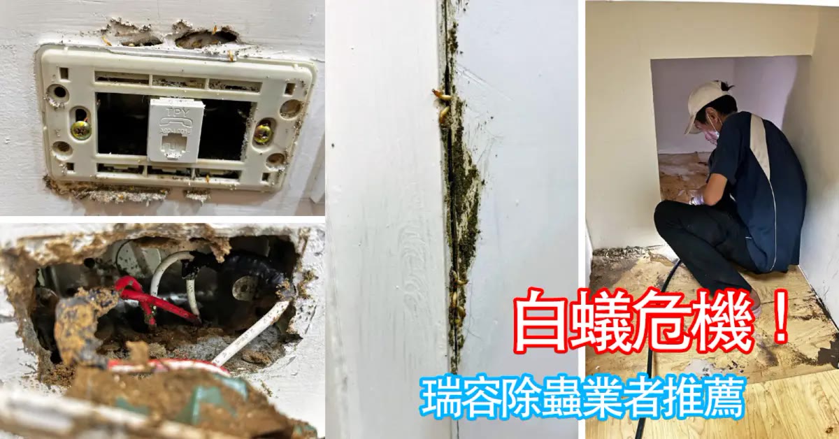 高雄除白蟻｜瑞容除蟲，插座牆縫白蟻窩注藥防治全記錄
